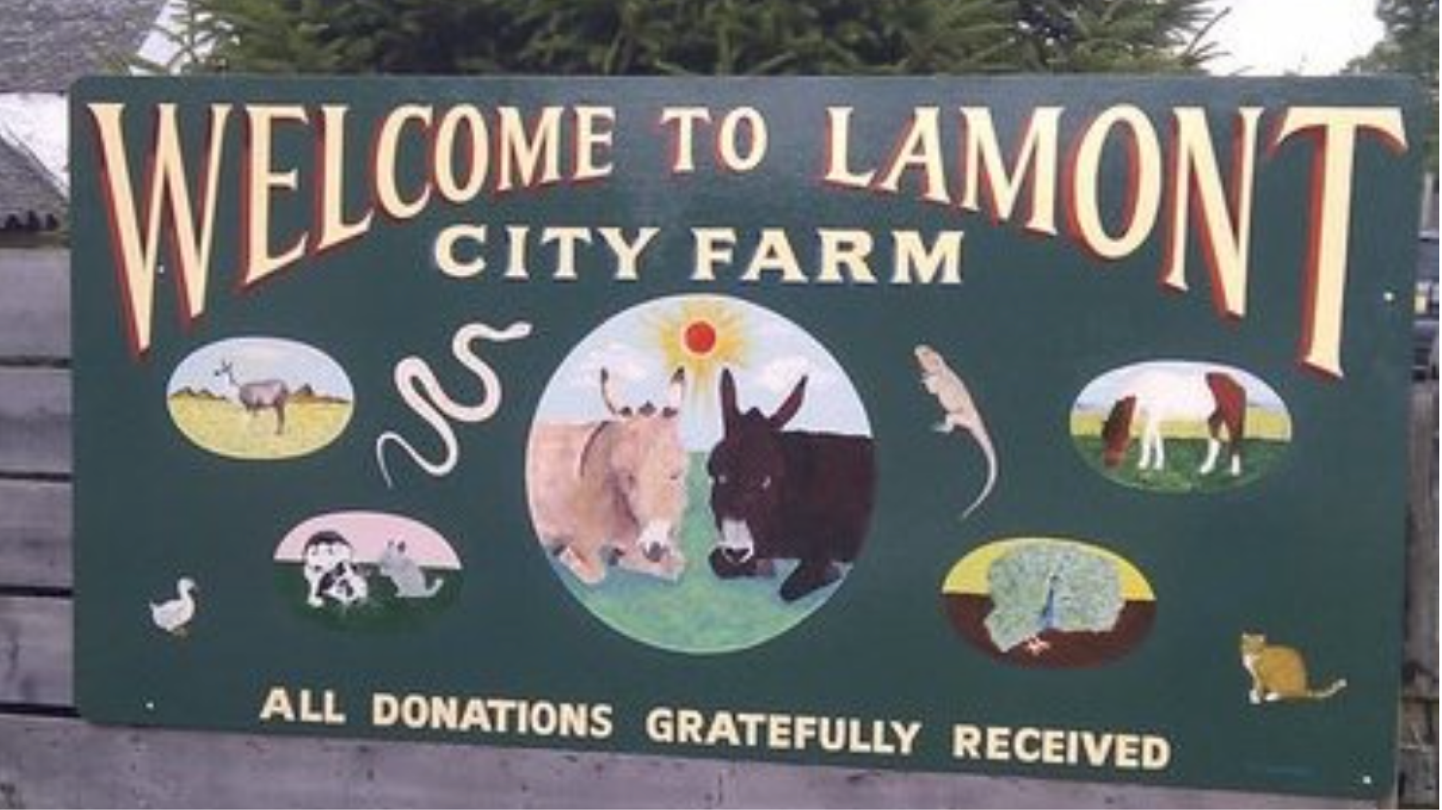 Lamont Farm Project: An animal welfare sanctuary