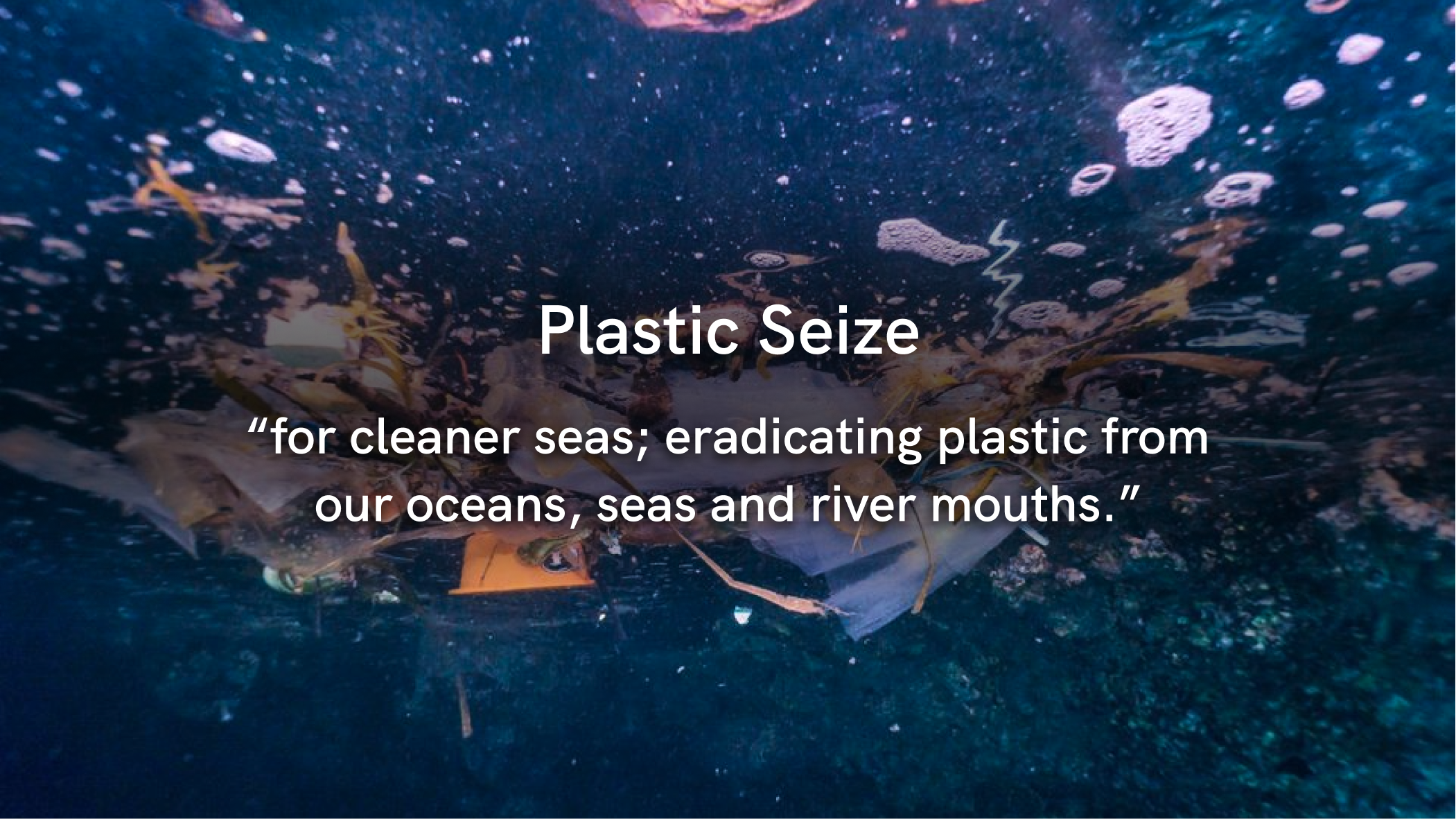 Plasticseize: Safeguarding Oceans & Wildlife Through Plastic Collection