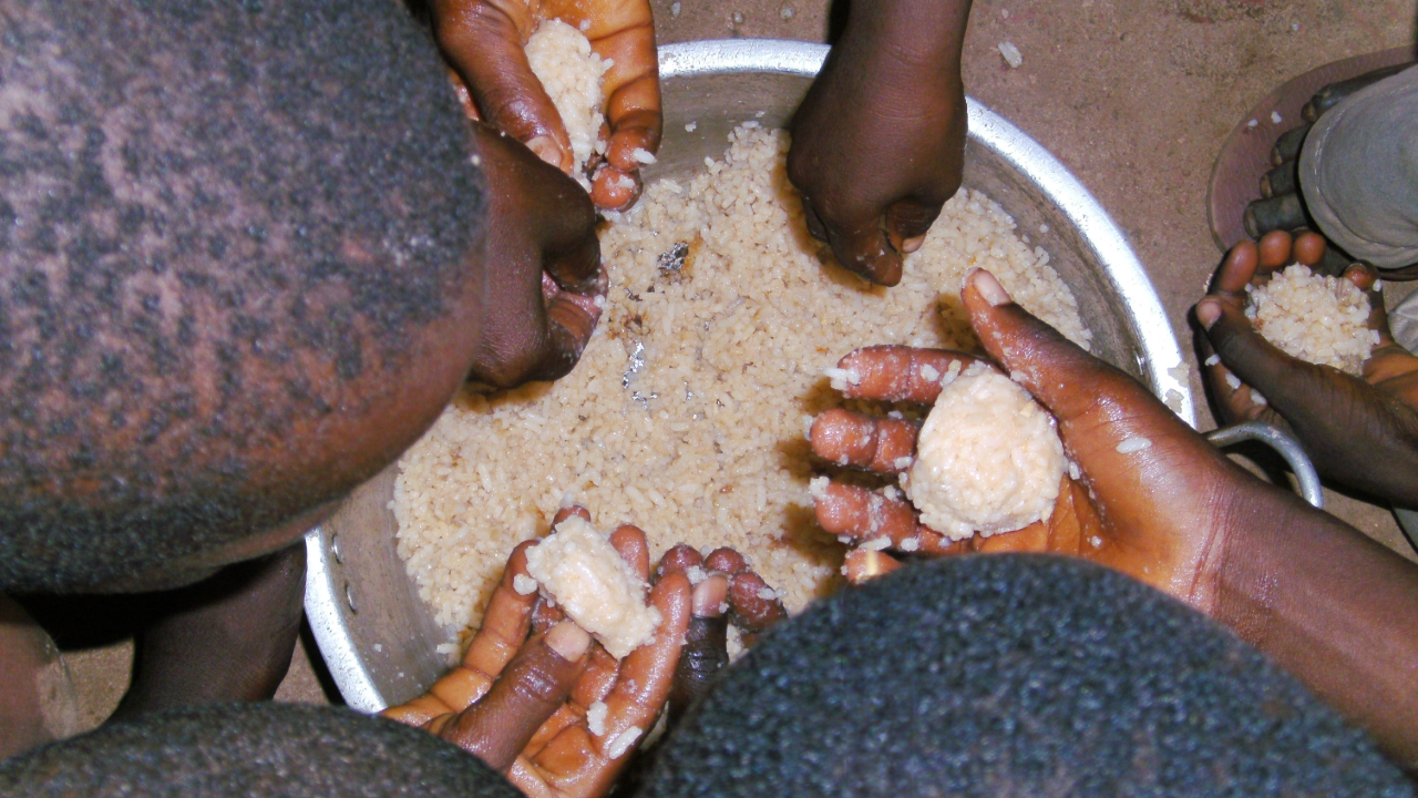 Transform Salone: Help us beat hunger