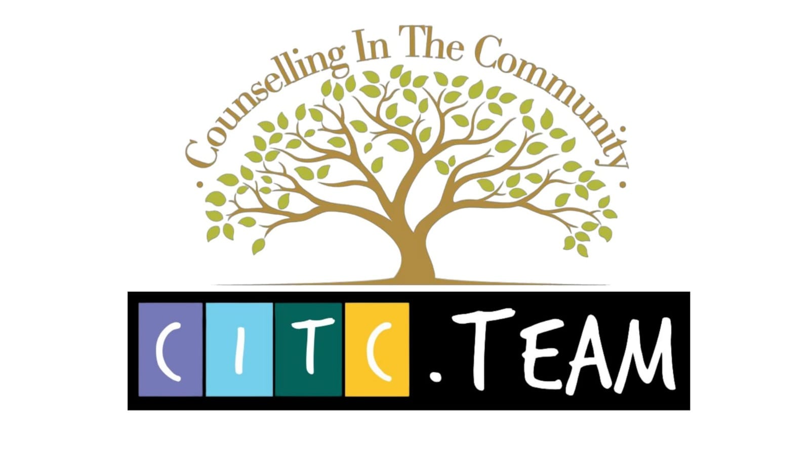 Making Mental Health Support Accessible: Counselling In The Community